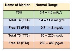 Tsh Level Chart For Thyroid