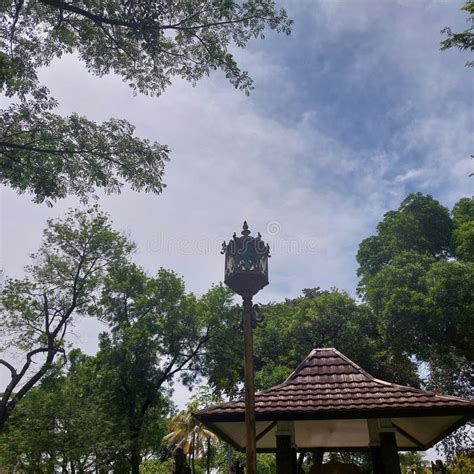 Turi: A Respected and Sacred Tree in Javanese Culture