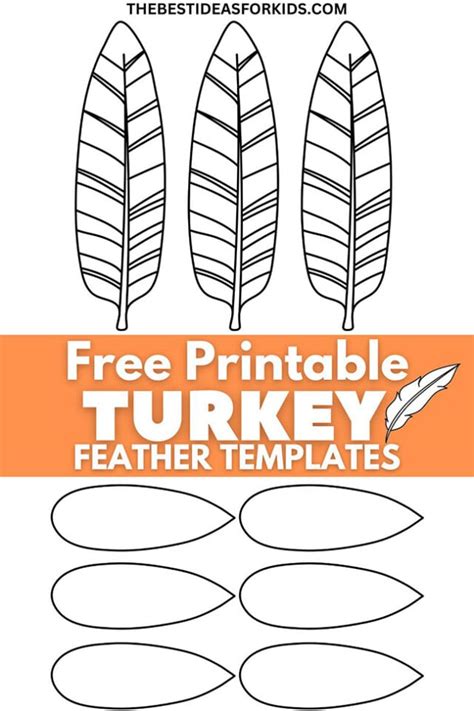 Turkey And Feathers Template