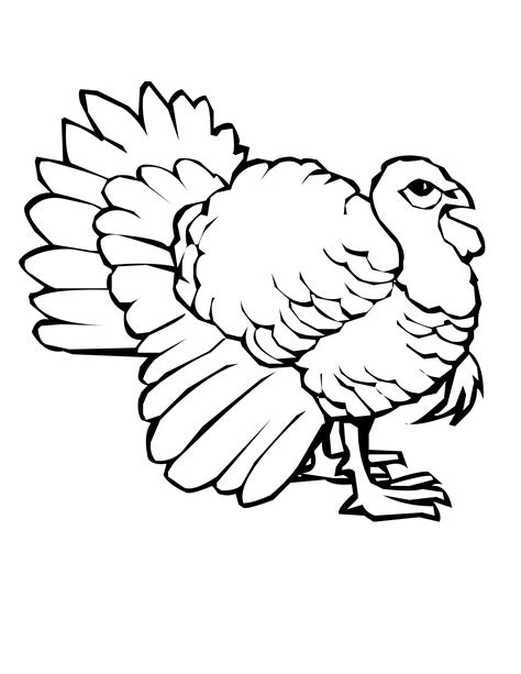 Turkey To Color Printable