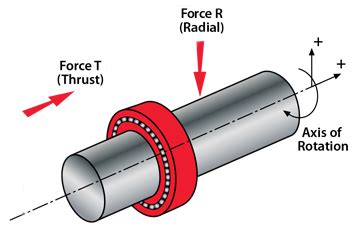Turn Table Bearings: The Pivotal Force in Motion