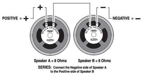 Two Speaker Cabinet Wiring