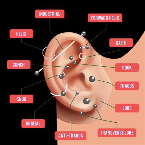 Types Of Ear Piercings Chart