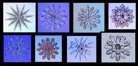 Types Of Snowflakes Chart