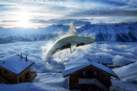 Ullgrisar: A Deep Dive into the Fascinating World of Snow Whales