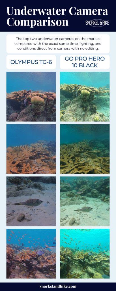 Underwater Camera Comparison Chart With Features