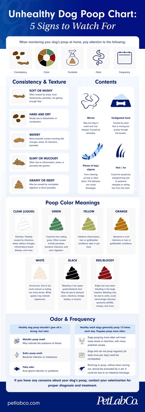 Unhealthy Puppy Poop Chart