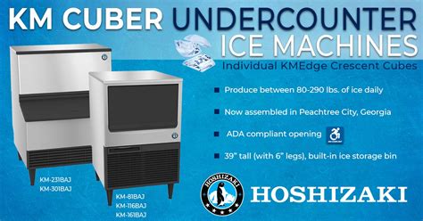 Unleash the Power of Ice: Dive into the World of Hoshizaki America Inc. Ice Makers