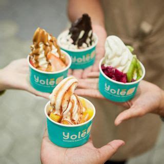 Unlock Sweet Delights: Embark on a Frozen Yogurt Odyssey