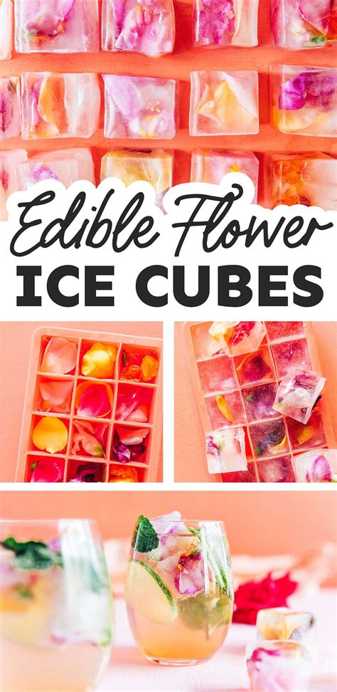 Unlock the Magic of Edible Ice: Transform Your Culinary Creations