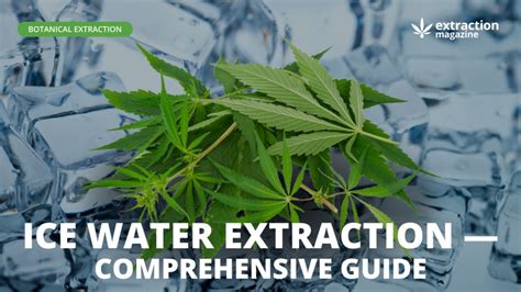 Unlock the Power of Ice Water Extraction: A Comprehensive Guide