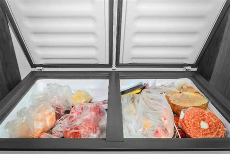 Unlock the Power of Icy Preservation: A Freezer for Every Need