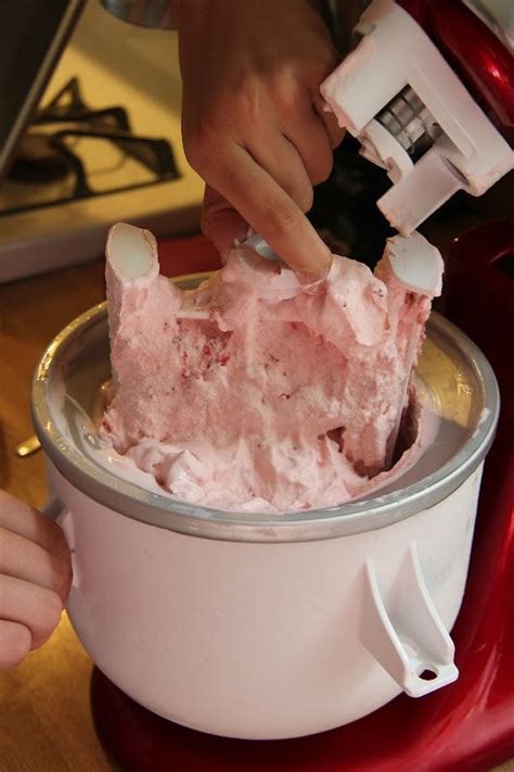 Unlock the Sweetness: Embark on a Culinary Adventure with an Ice Cream Maker
