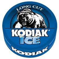Unlocking Superior Ice Production with Kodiak Ice Machines: A Comprehensive Guide