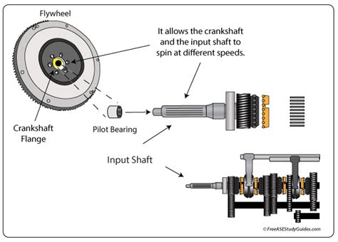 Unveiling the Secrets of Pilot Bearing Noise: A Comprehensive Guide