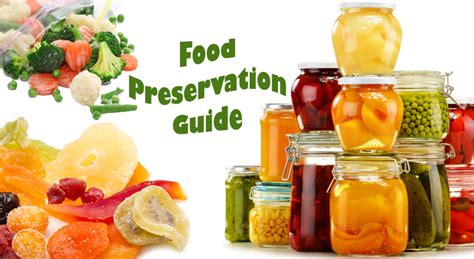 Unveiling the Treasures of Freezer de Hielo: A Comprehensive Guide to Food Preservation Excellence