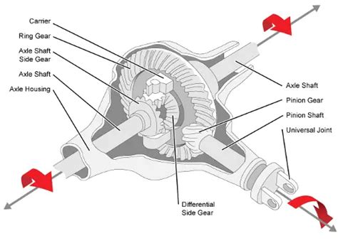 Unveiling the Unsung Hero of Your Vehicle: The Differential Carrier Bearing