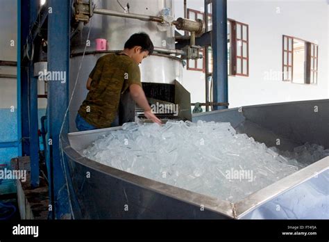 Unveiling the Wonders of Ice Maker Machines in Cambodia