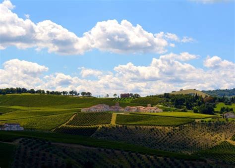 Upplev det verkliga Toscana: Bo på en vingård