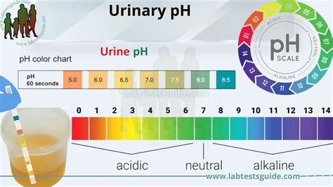 Urine Ph Chart