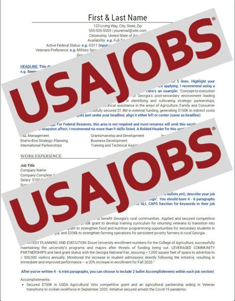 Usajobs Template Federal Resume Example
