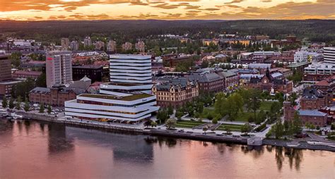 Välkommen till Hotell Umeå med Hund – Din Guide till det Perfekta Resemålet för Dig och Din Fyrbente Vän