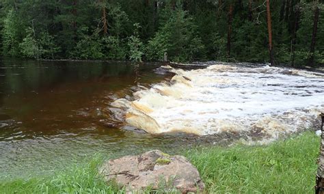 Vattenflödet i Sollefteå: Din kompletta guide till ett rikt vattenliv