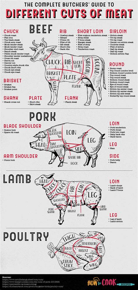 Veal Meat Cuts Chart