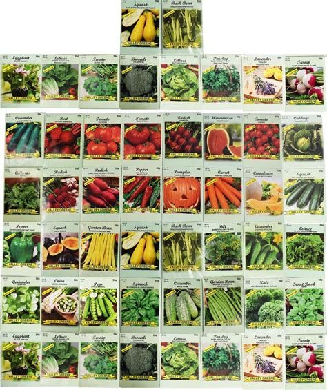 Veg Seed Catalogues