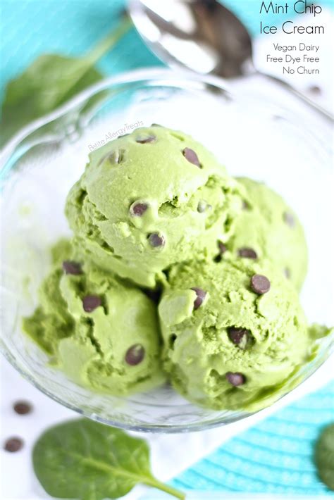 Vegan Mint Chocolate Chip Ice Cream: A Refreshing Treat for Body and Soul