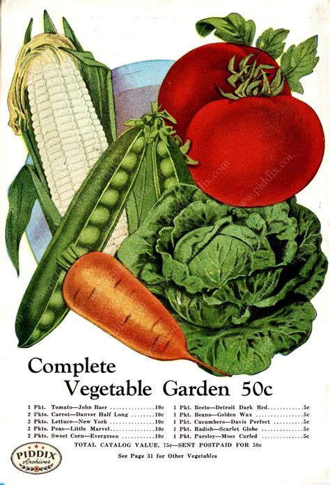 Vegetable And Fruit Seed Catalogs