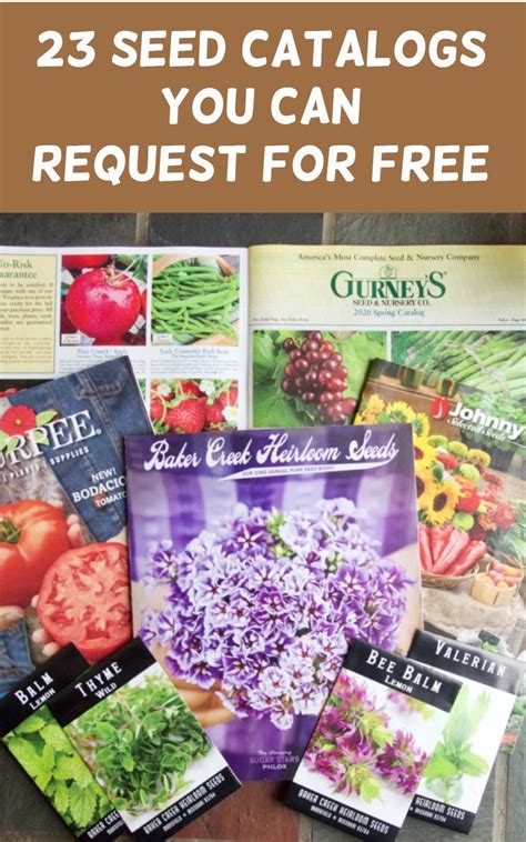 Vegetable Seed Catalogs