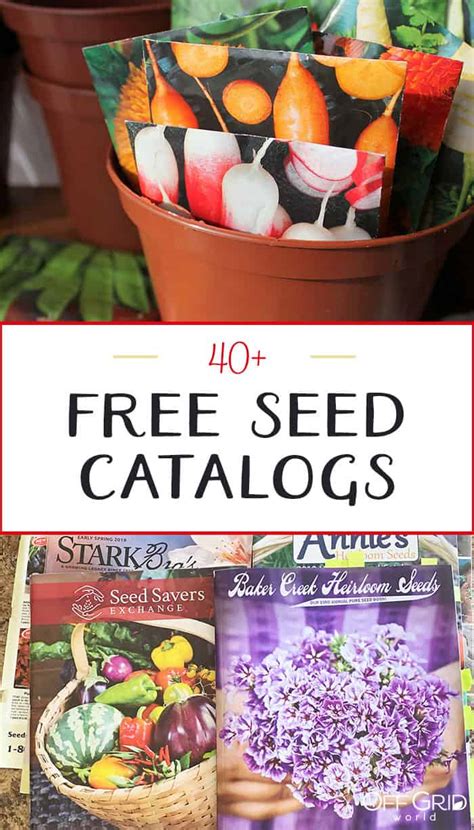 Vegetable Seed Catalogs Free