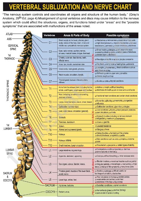 Vertebral Subluxation Chart