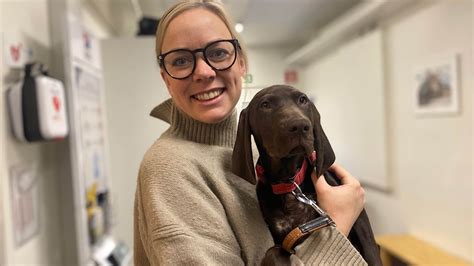 Veterinär Strömstad: Din trygga partner för husdjurens hälsa
