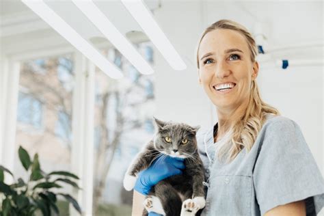 Veterinär malung: En guide till att hitta rätt veterinärklinik för ditt husdjur