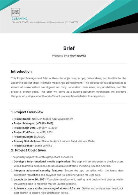Video Brief Template