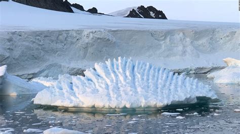 Vogt Ice: The Enchanting Glacier Found in Antarctica