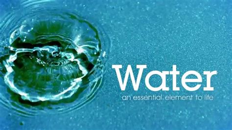 Water and Ice: The Essential Elements of Life