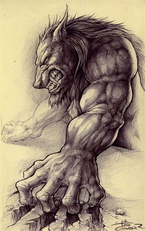 Werewolf Drawings Pictures