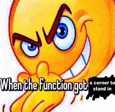 When The Function Got Meme Template