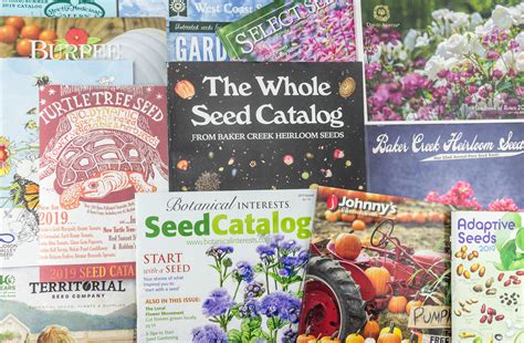 Where To Order Seed Catalogs
