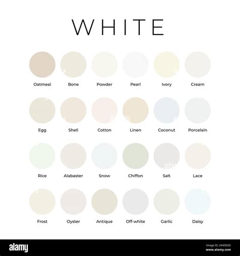 White Color Template
