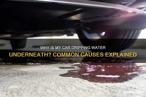 Why Is My Car Dripping Water