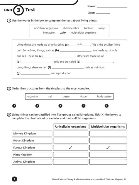 Wilson Trailer Wiring Diagram 2008