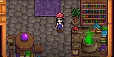 Wizard Catalogue Stardew