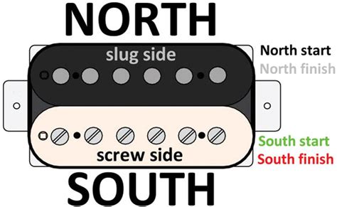 Wolfgang Guitar Wiring Diagram