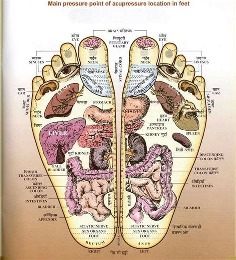 Woman Acupressure Points Leg Chart