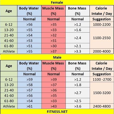 Women Muscle Mass Chart