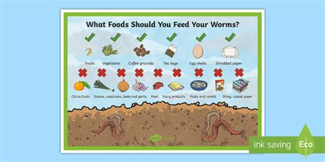 Worm Farm Food Chart